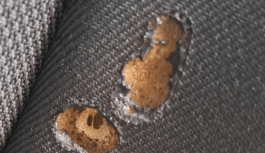 where to fix this kind of cigarette burns in a car seat in the Liège region for a reasonable price? Thank you very much in advance