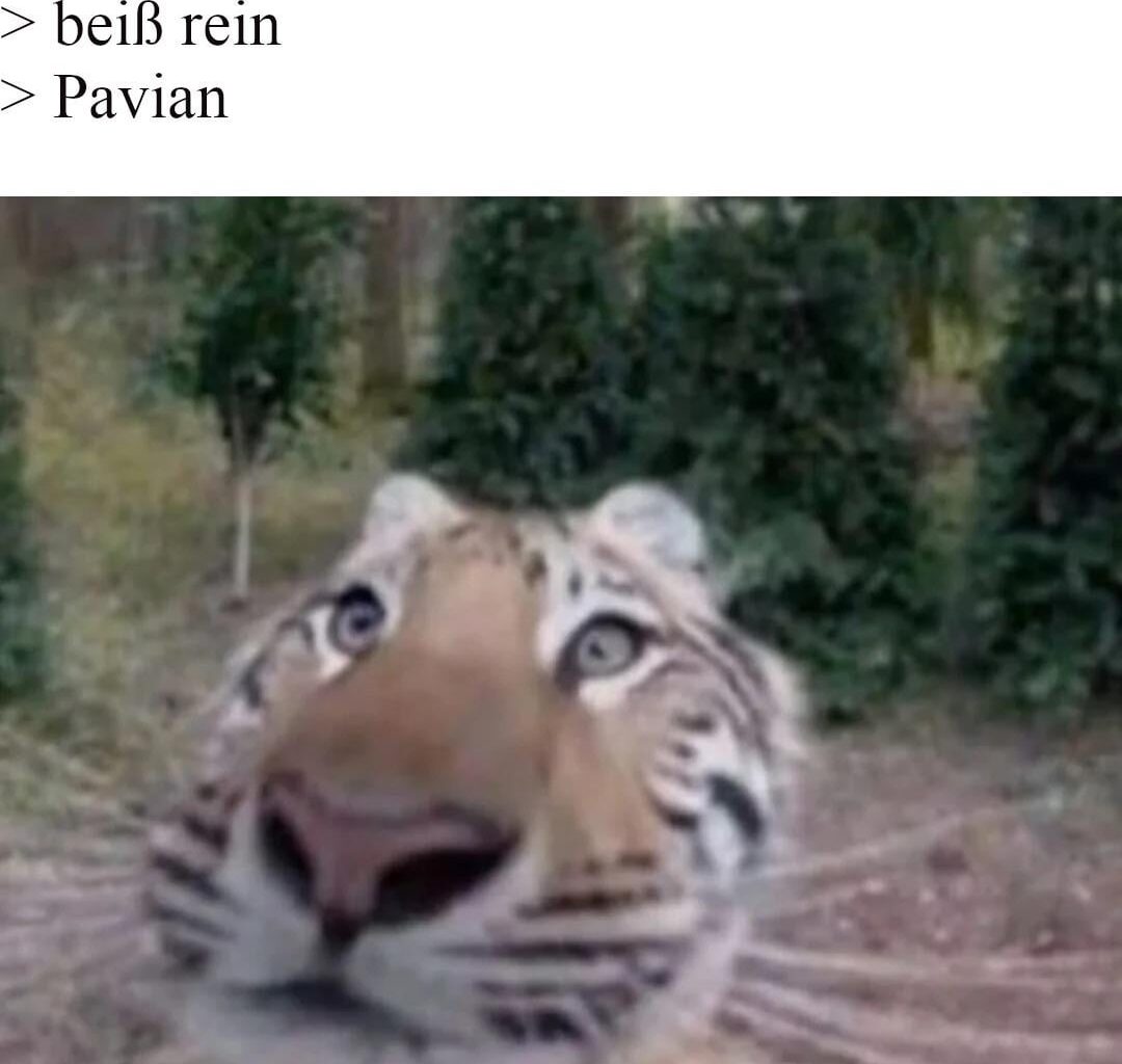 ich🐒iel