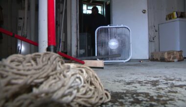 Mold growth risk after flooding; health concerns, remediation tips