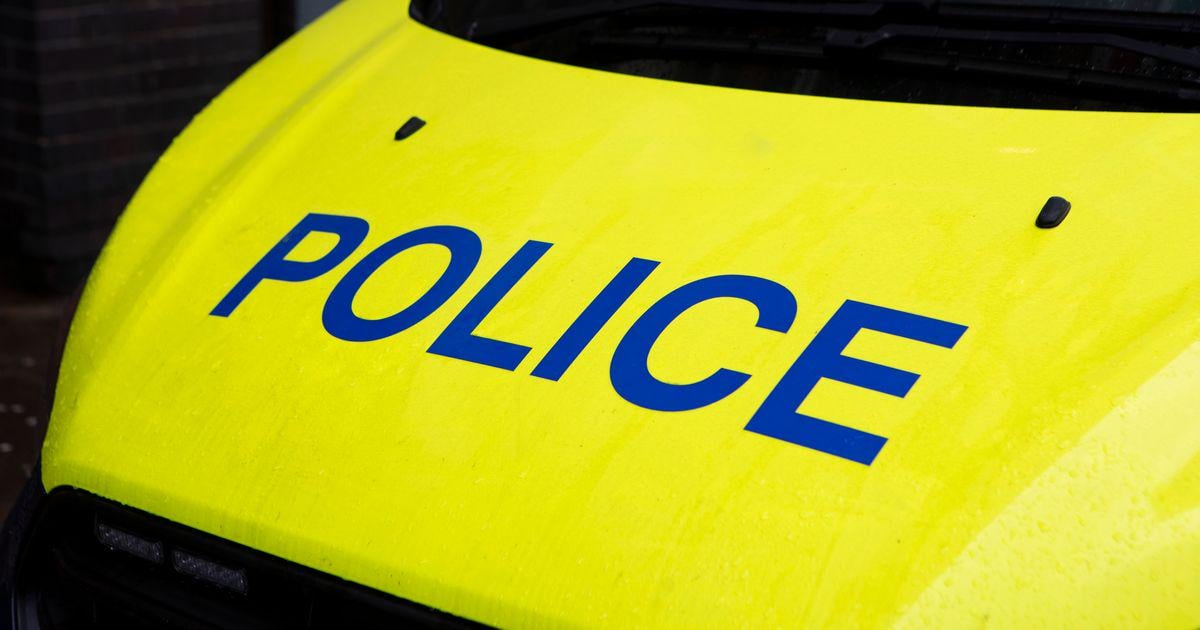 Public asked to avoid area of Cardiff amid police incident