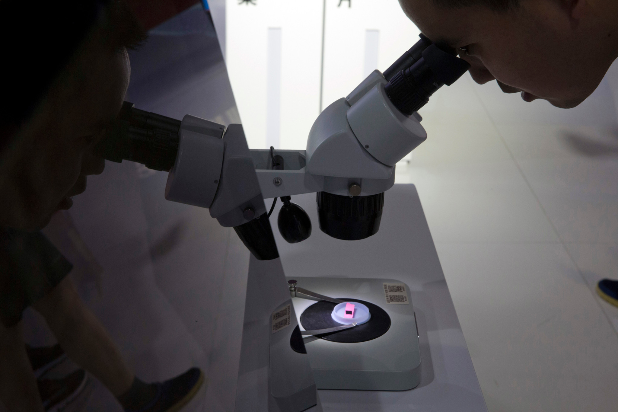 Un visiteur observe une puce informatique au microscope lors de la 21e expo high-tech de Pékin, soutenue par Tsinghua Unigroup.
