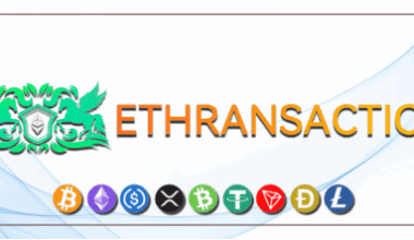 Digital Team