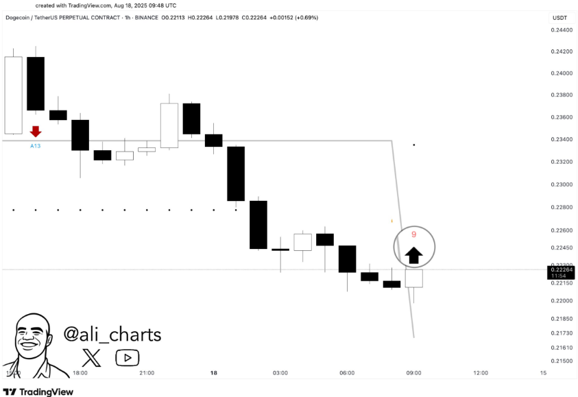 DOGE Price Chart By Ali Martinez