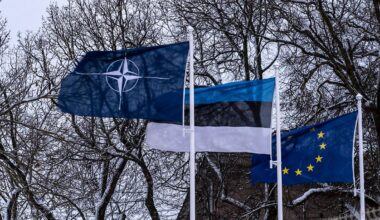 Estland wappnet sich für Angriff: "Auf russische Truppen würde jeder Baum schießen, mit oder ohne Nato"