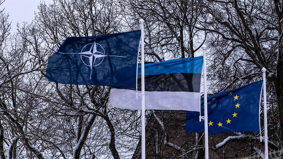 Estland wappnet sich für Angriff: "Auf russische Truppen würde jeder Baum schießen, mit oder ohne Nato"