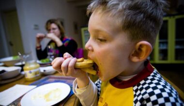 Cêlavíta maakt niet alleen friet, maar ook andere aardappelproducten. Het bedrijf bestaat al meer dan 55 jaar, maar heeft laten weten dat het failliet is.