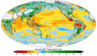 Global increase in photosynthesis driven by land plants, while oceans trend down