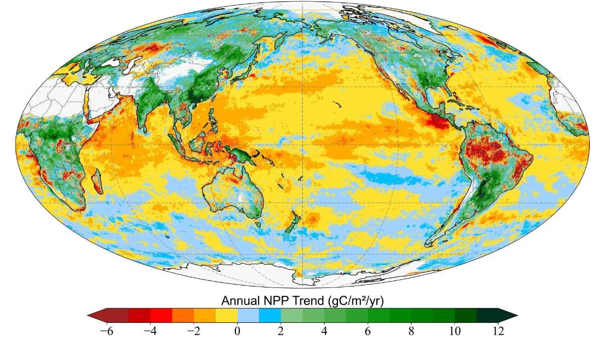Global increase in photosynthesis driven by land plants, while oceans trend down