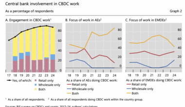 Stablecoins, crypto cause a third of central banks to accelerate CBDC work - BIS - Ledger Insights