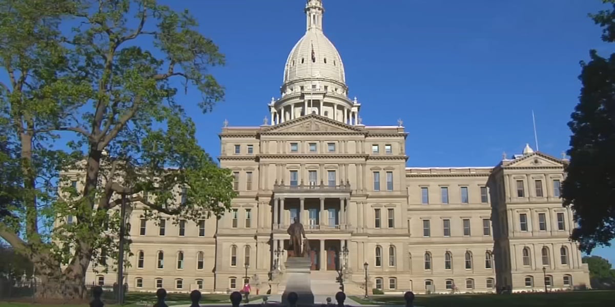 Michigan Senate passes bills to prevent data breaches