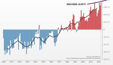 To show how off the charts Australian ocean heat was in last 12 months compared to previous record I made a graph