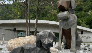 Lidl Schweiz geht unter die Bernhardiner-Hunde