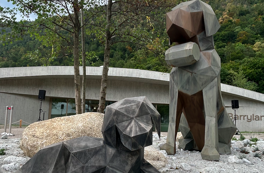 Lidl Schweiz geht unter die Bernhardiner-Hunde