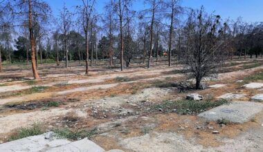 Behesht-e Zahra Cemetery, Section 41 — burial site of thousands of political prisoners executed in the 1980s. (Photo: Manfi, CC BY-SA 4.0)