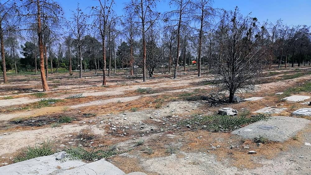 Behesht-e Zahra Cemetery, Section 41 — burial site of thousands of political prisoners executed in the 1980s. (Photo: Manfi, CC BY-SA 4.0)