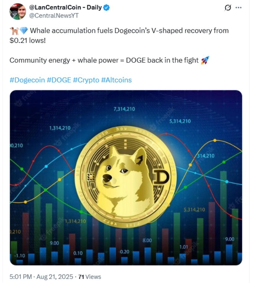 Whale Activity and Market Sentiment