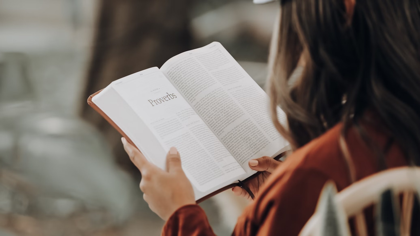 Book tax: A recent Organisation for Economic Co-operation and Development (OECD) report showed that one in four 15-year-olds in Denmark cannot understand basic texts.