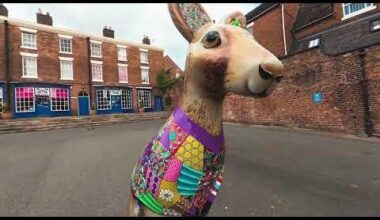 Following the Where's Wallaby? Trail Through the Staffordshire Moorlands