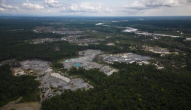 Amazon deforestation surges in Colombia, reversing historic gains