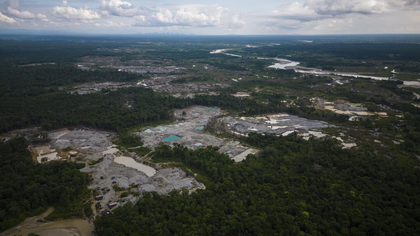 Amazon deforestation surges in Colombia, reversing historic gains
