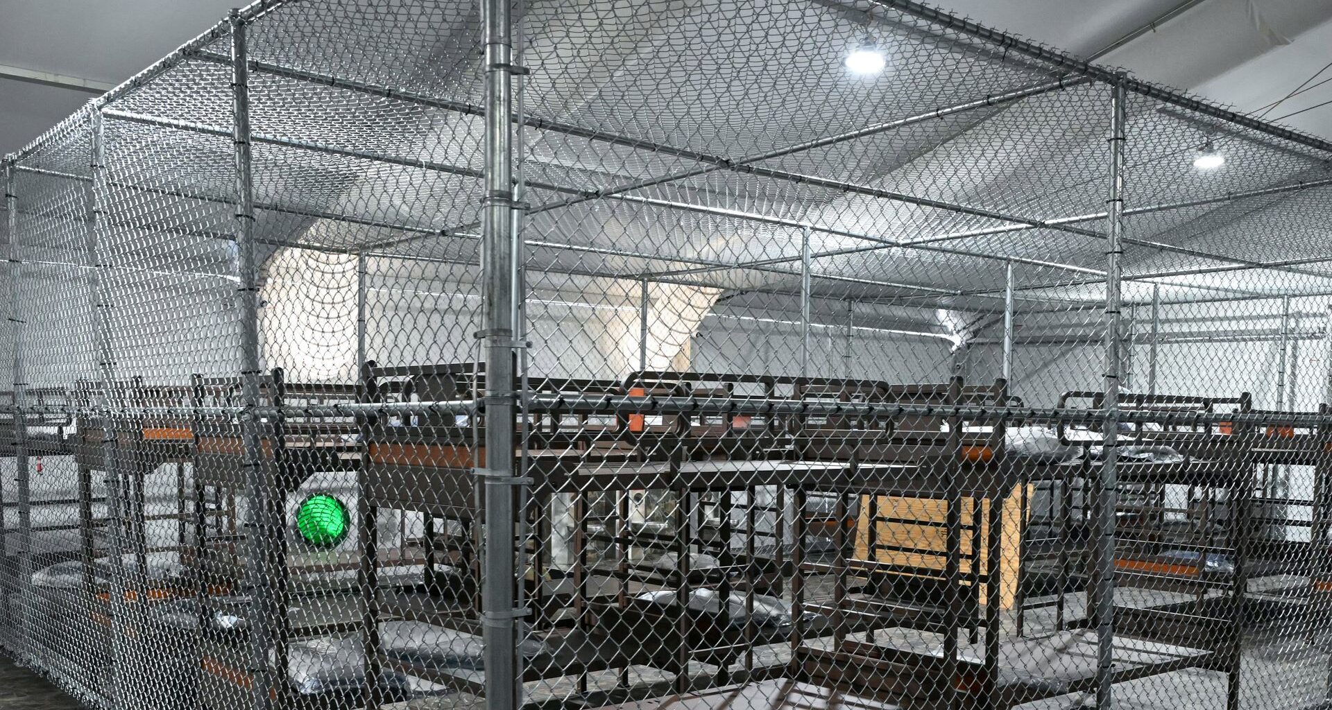 Investigation reveals hundreds of human rights abuses in US immigrant detention – Straight Arrow News