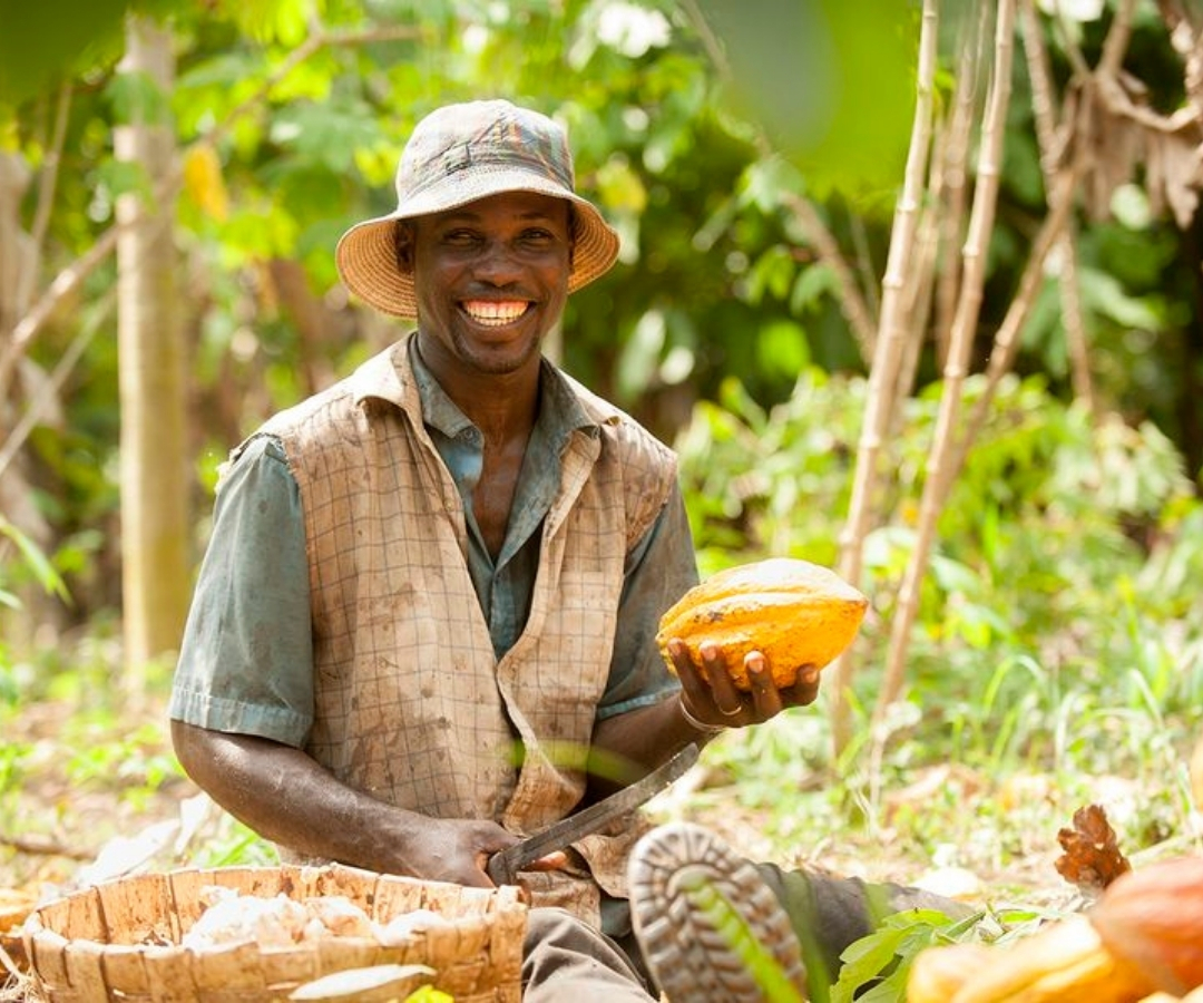 Cocoa overtakes crude oil in Nigeria–Belgium trade: A turning point for sustainable economic diversification