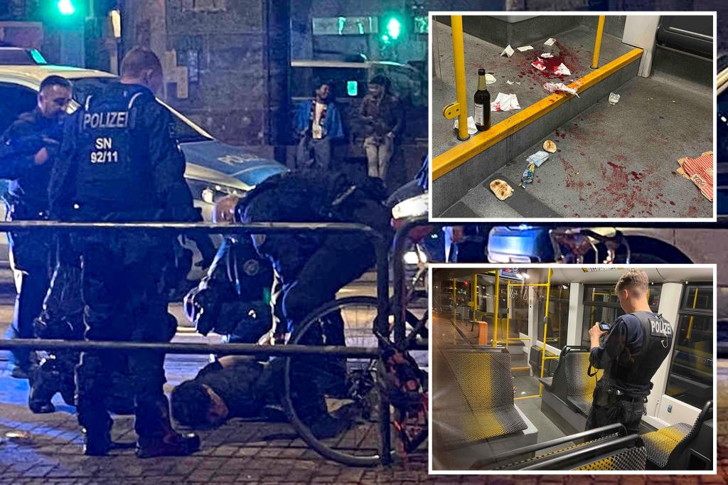 American good Samaritan stabbed by Syrian immigrant in Germany after stepping in to stop harassment