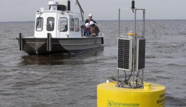 University sidelines scientist who exposed toxic metals in Lake Maurepas.
Her expertise traced sources of pollution to industrial and agricultural activity along the rivers that lead to the lake.