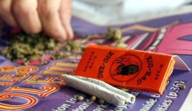 Silly Nice Expands: Frosted Hash Balls & THC Diamond Powder Hit Silk Road NYC!