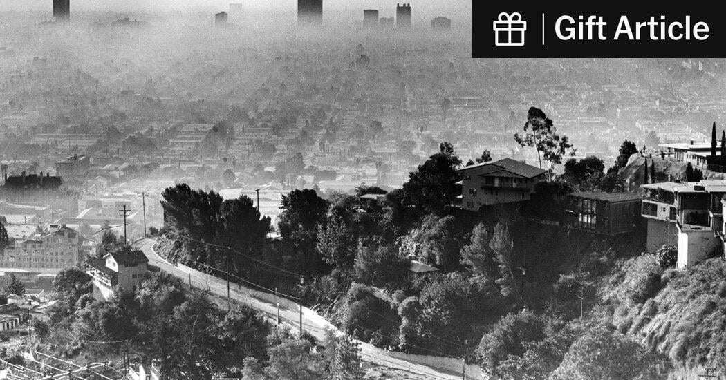As PBS Stations Confront Cuts, American History Takes a Hit