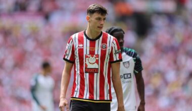 Anel Ahmedhodzic in het shirt van Sheffield United