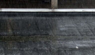 Psychosocial Impacts of Belgium’s 2021 Floods