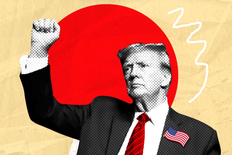 The Political Economy of US-Japan Tariffs
