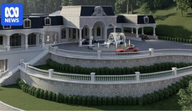 Sydney developer gets slap on the wrist after illegally clearing hundreds of trees to build $3 million mansion