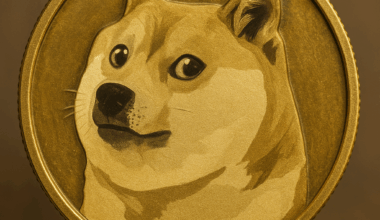 Whales Buy 1 Billion Dogecoin In 24 Hours, Is DOGE Ready To Breakout? Experts Also Call MaxiDoge The Next 100x Crypto
