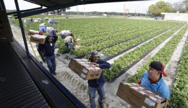Florida farmers can thank Trump for the severe labor shortage
