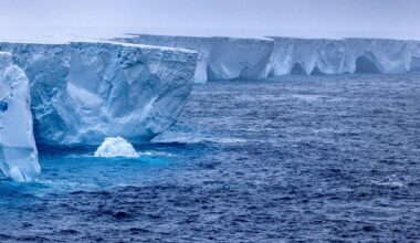 Rapid loss of Antarctic ice may be climate tipping point, scientists say