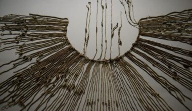 A lock of hair may have just changed what we know about life in the Incan Empire