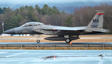 A backseat passenger on an Air National Guard F-15 accidentally ejected while on the ground.