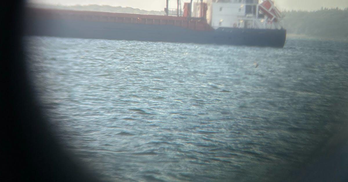 I en dansk havn [Frederiksværk] læsser mystiske skibe russiske varer af. Og ingen har planer om at stoppe dem