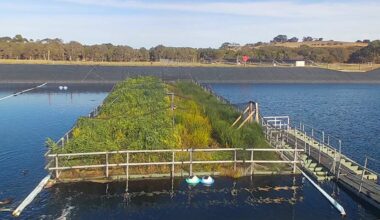 RMIT’s environmental science follows nature’s lead