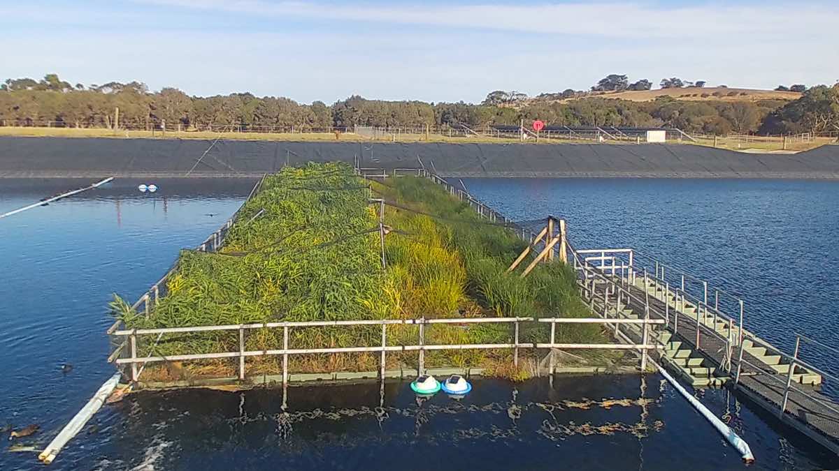 RMIT’s environmental science follows nature’s lead