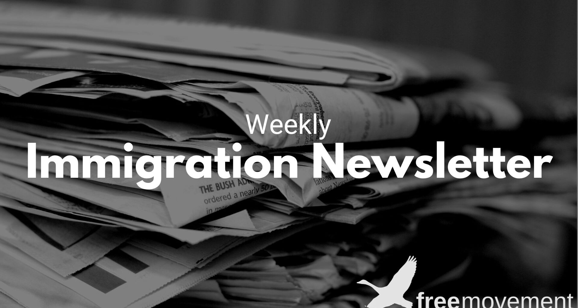 Free Movement Weekly Immigration Newsletter #80