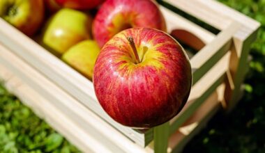 España reduce su cosecha de manzana un 8%, pero eleva un 10% la de pera