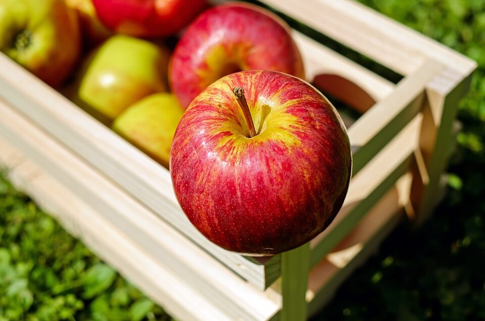 España reduce su cosecha de manzana un 8%, pero eleva un 10% la de pera