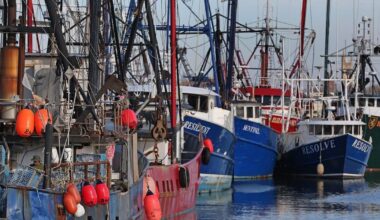 ‘It’s madness’: Trump-voting fishermen oppose Revolution Wind halt | The Rhode Island offshore wind project, now nearly finished, employed 80 fishermen to help with construction. With Trump’s pause, they are losing vital income.