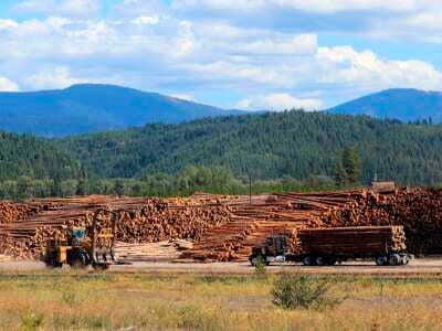 Workers add freshly harvested logs to the piles in a timber company log yard near Clarkia, Idaho.