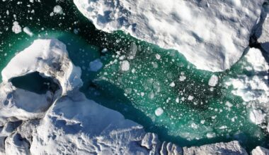 Cold War-era research station Camp Century samples are revealing new insights about climate change today.