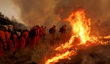 Firefighters battle flames from the Canyon Fire on Aug. 7 in Castaic, Calif. Credit: Eric Thayer/Getty Images