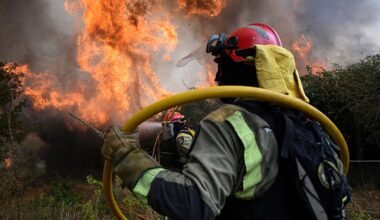 Firefighters work together to extinguish a wildfire